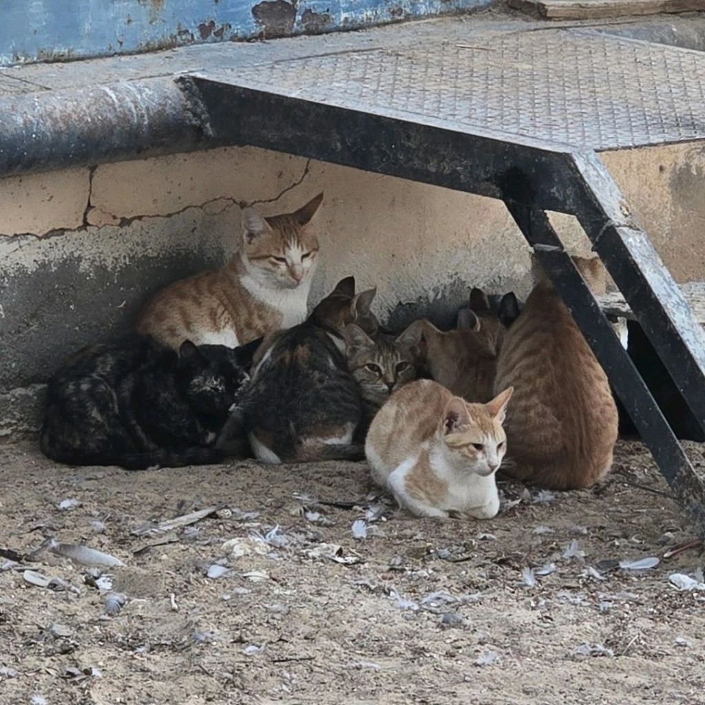 A Cold Morning Reminder in the Rub Al&nbsp;Khali